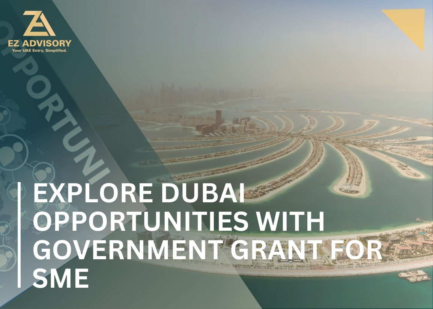 Government Grant for SME