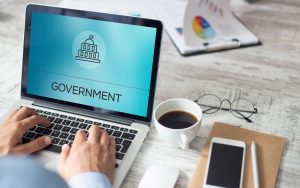 The Role of the Business Grants Portal SG