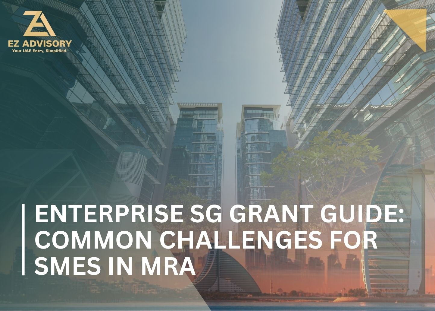 Enterprise SG Grant