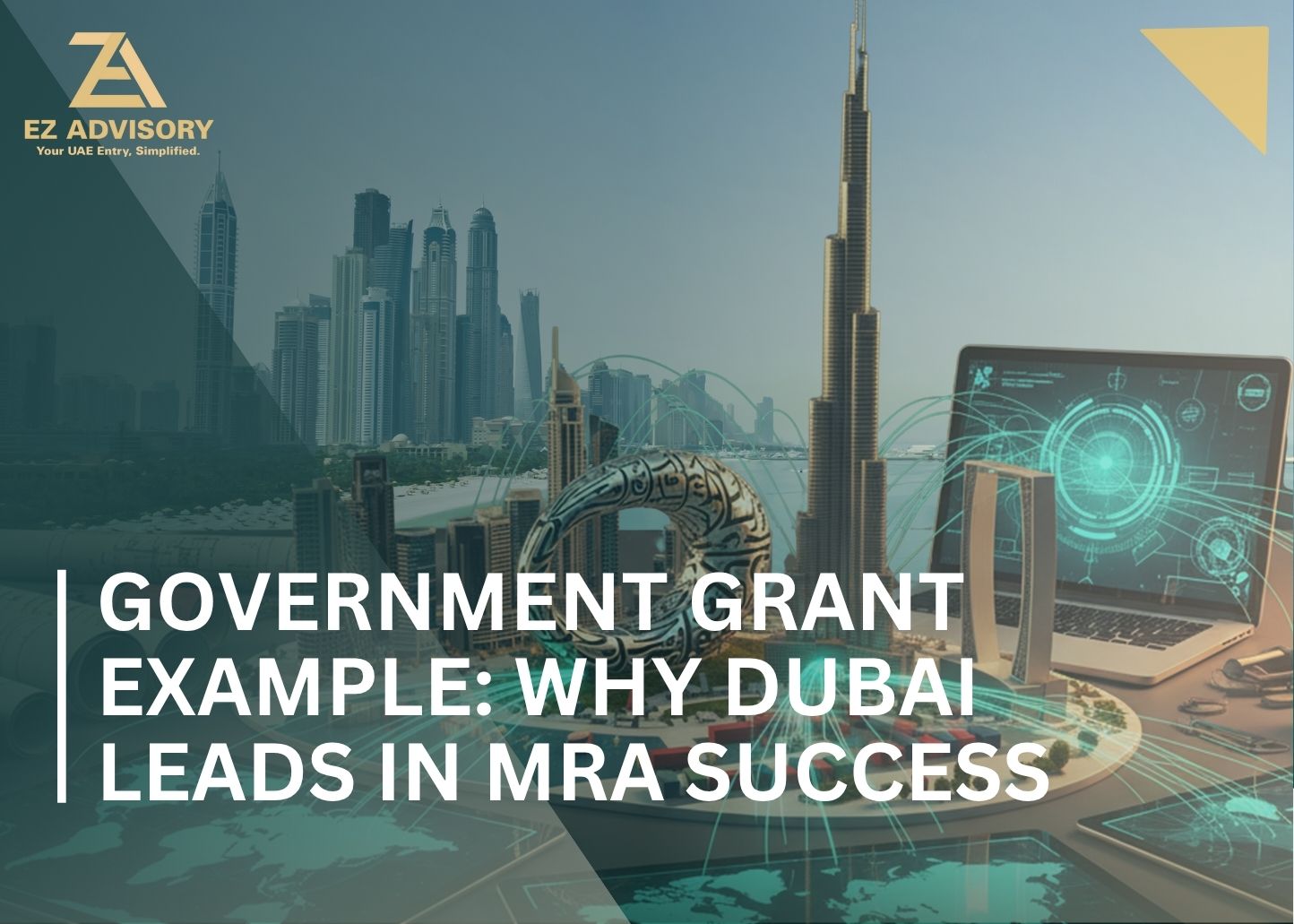 Government Grant Example