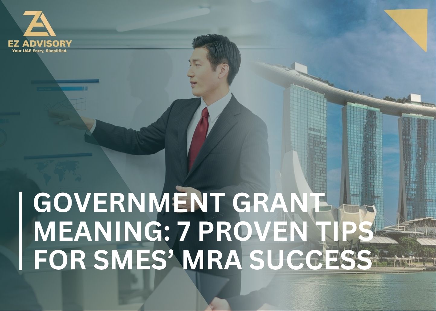 Government Grant Meaning