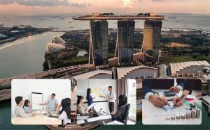 Singapore Government Grants for Startups